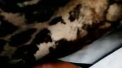 Sue Nero Raja Buas video bokep sma sange