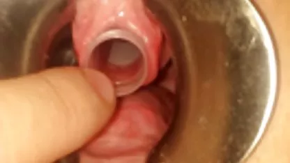 Dua jilbab sange video tetangga, keledai putih
