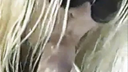Di luar Krissy Lee dari BBC, Ada bokep sange crot